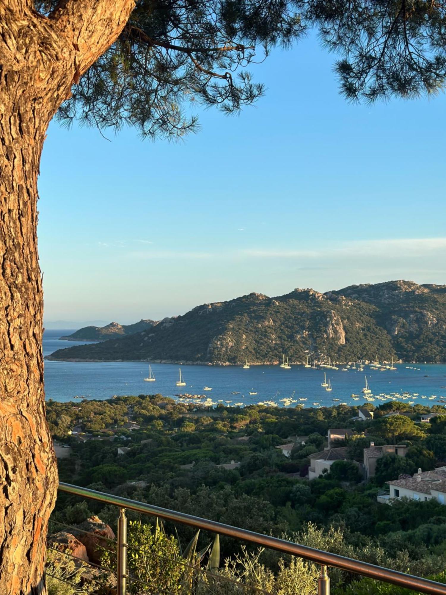 Appartement Marina Di Santa Giulia Porto-Vecchio  Eksteriør bilde