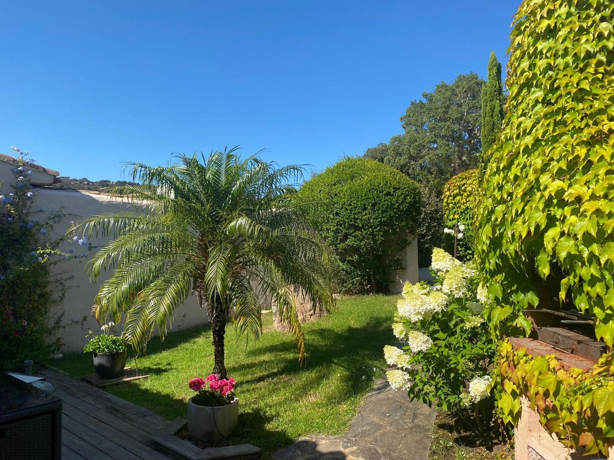 Appartement Marina Di Santa Giulia Porto-Vecchio  Eksteriør bilde